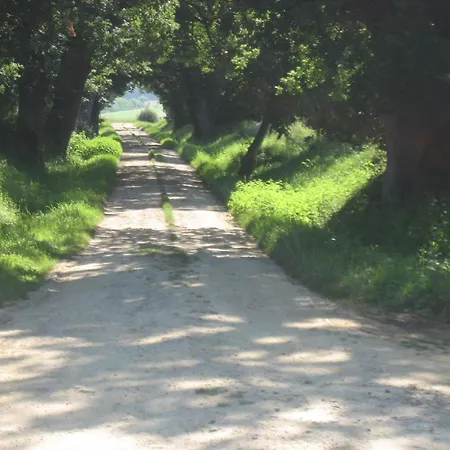 Domaine A Marmande Berdoues