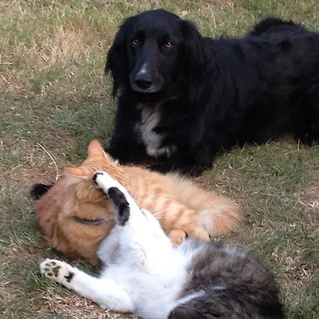 Domaine A Marmande 4*