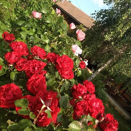 Domaine A Marmande 4*