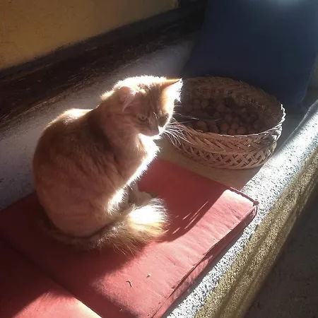 Oda ve Kahvaltı Domaine A Marmande Berdoues